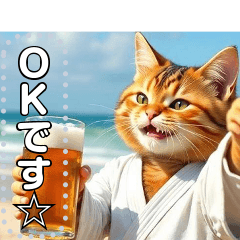 [LINEスタンプ] 押忍！空手家お酒ネコ師範♡夏稽古
