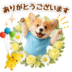 [LINEスタンプ] 飛び出す癒しコーギーのラフな敬語