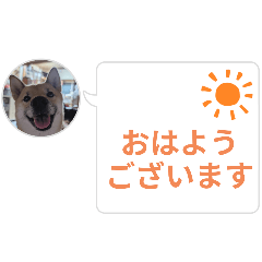 [LINEスタンプ] はなのスタンプ② 業務用