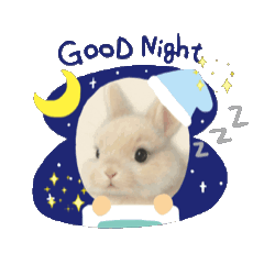 [LINEスタンプ] うさぎのルー 