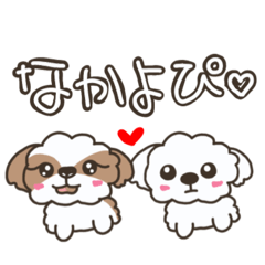 [LINEスタンプ] 仲良しシーズー兄弟