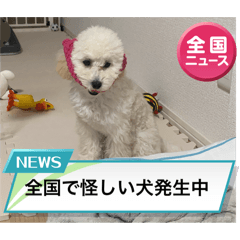 [LINEスタンプ] おもちの日常【2】
