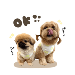 [LINEスタンプ] こむぎちゃん♡こはるちゃん