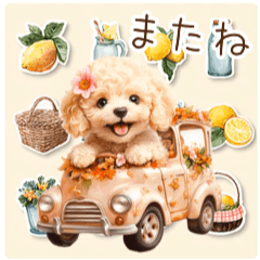 [LINEスタンプ] トイプードルの毎日（アニメーション）