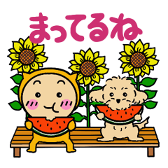 [LINEスタンプ] 夏のオレンジとわんこ
