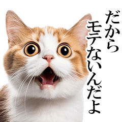 [LINEスタンプ] 感情が顔に出てしまう猫2