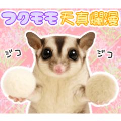 [LINEスタンプ] フクロモモンガの天真爛漫