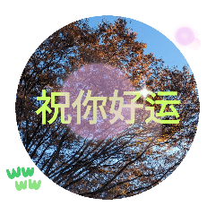 [LINEスタンプ] 秋の日の日常台湾語 紅葉の挨拶カエデの葉