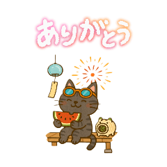 [LINEスタンプ] 每日使える可愛いネコスタンプ 夏ver
