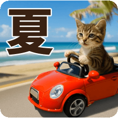 [LINEスタンプ] ずっと使える♡夏の気づかいニャンコ