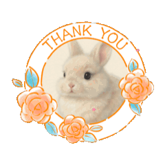 [LINEスタンプ] うさぎのルー2 