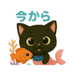 [LINEスタンプ] 動く熱帯魚と黒猫の豆の日常会話