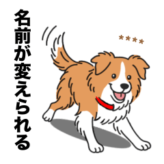 [LINEスタンプ] 名前入りボーダーコリーレッド 