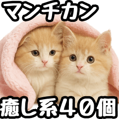 [LINEスタンプ] 癒し系会話verマンチカン