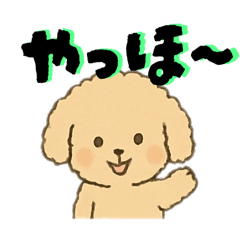 [LINEスタンプ] ゆるふわプードルさん