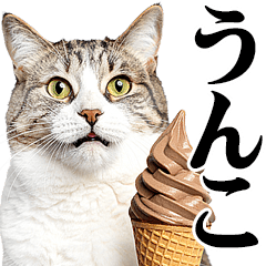 [LINEスタンプ] うんこ★リアルな猫 (デカ文字)