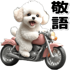 [LINEスタンプ] 敬語♡バイク好き トイプードル
