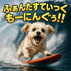 [LINEスタンプ] 波乗り！ちわまる！！