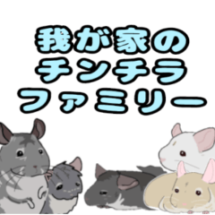 [LINEスタンプ] 我が家のチンチラファミリー