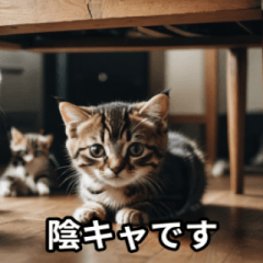 [LINEスタンプ] 陰キャ用ねこスタンプ