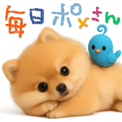 [LINEスタンプ] 毎日ポメさん✳︎いつもありがとう