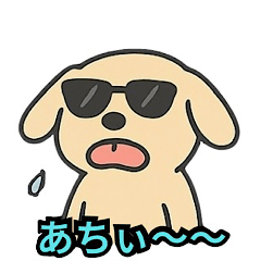 [LINEスタンプ] 夏を満喫中のサングラス動物たち