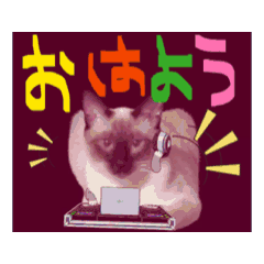 [LINEスタンプ] お酒とネコ好きな日常会話 46