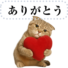 [LINEスタンプ] 【爆笑】スコティッシュホールド＠コスプレ 