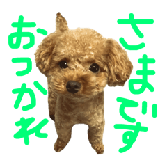 [LINEスタンプ] ちびっこハルク