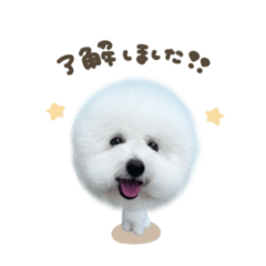 [LINEスタンプ] 豆腐ちゃん♡deformation