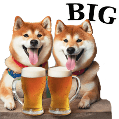 [LINEスタンプ] 酒☆柴犬【BIG】
