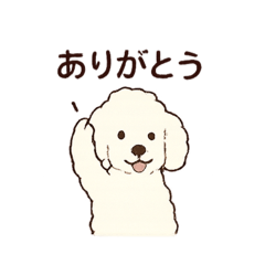 [LINEスタンプ] 白いプードルちゃん