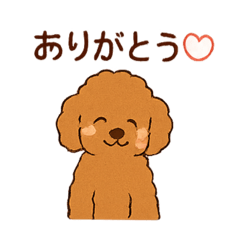 [LINEスタンプ] アプリコットプードルちゃん