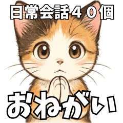 [LINEスタンプ] 少女漫画風ネコ