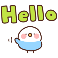 [LINEスタンプ] インコの英語