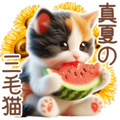 [LINEスタンプ] 3D 夏によく使う言葉の三毛猫スタンプ