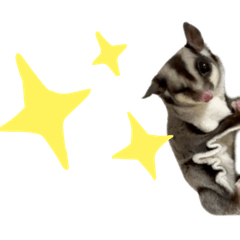 [LINEスタンプ] 表情管理が強いモモンガ②