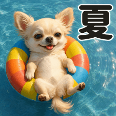 [LINEスタンプ] ずっと使える♡夏チワワ