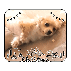 [LINEスタンプ] プリティマクベル