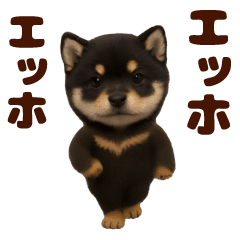 [LINEスタンプ] 踊る！黒柴/豆柴/まめしば/マメシバ