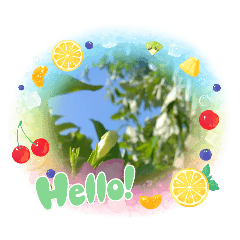 [LINEスタンプ] 夏！涼しいスタンプ