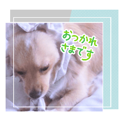 [LINEスタンプ] マクベル2025夏