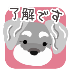 [LINEスタンプ] 彩りシュナウザー(松原のラン