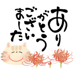 [LINEスタンプ] 毎日つかえる♡にっこり猫と筆文字♡秋