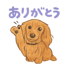 [LINEスタンプ] ミニチュアダックスのくぽら