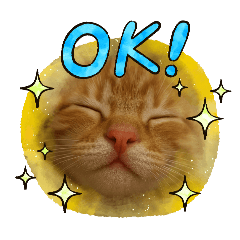 [LINEスタンプ] 茶太郎のHappyDay