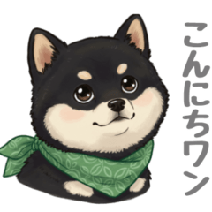 [LINEスタンプ] とある黒柴の日常