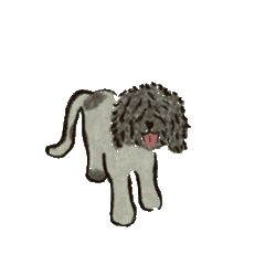 [LINEスタンプ] びっくりおめめのわんこたち fetchpriority=high