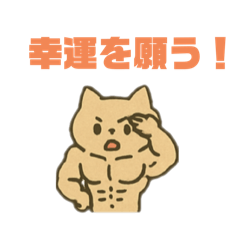 [LINEスタンプ] 幸運のマッチョ猫