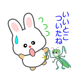 [LINEスタンプ] nobobi アニメ 軽快なうさうさ